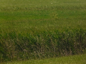 P1040703