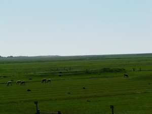 P1040717
