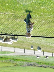 P1040718