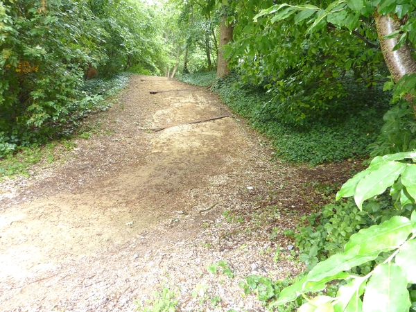 wandelpad
