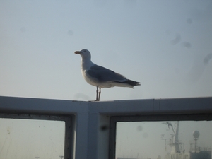 DSC01586