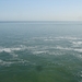 DSC01590