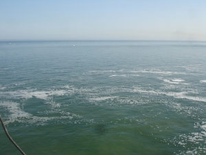 DSC01590