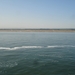 DSC01591