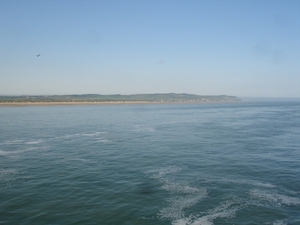 DSC01592