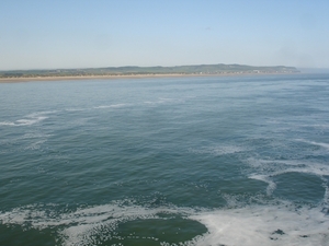 DSC01593