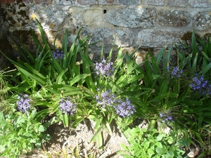 SIssinghurst