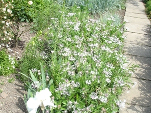 SIssinghurst