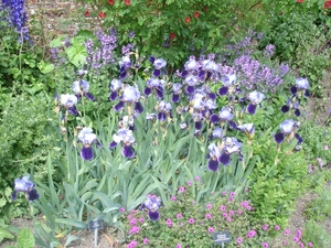 SIssinghurst