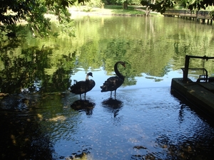 Leeds-Castle