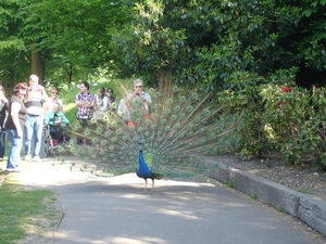 Leeds-Castle