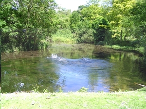 Onze reis naar naar de omgeving van Abingdon en rxford 049