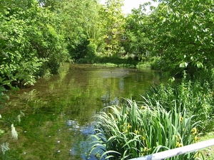 Onze reis naar naar de omgeving van Abingdon en rxford 050
