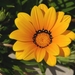 Imgp0255