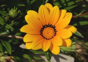 Imgp0255