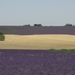 Imgp3618
