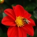 Imgp1552