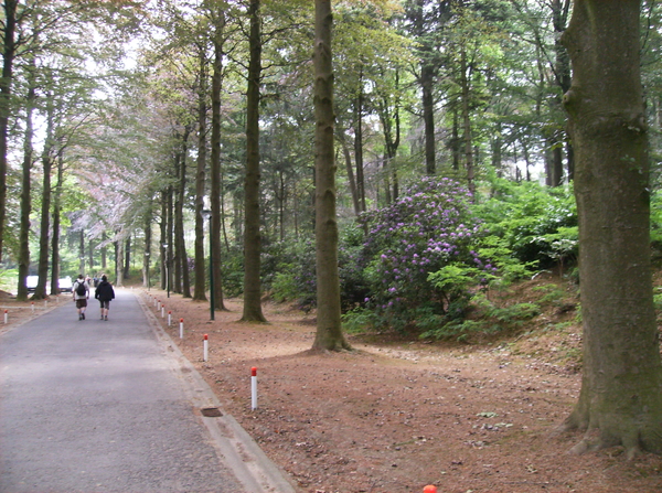 Kluisbergen Juni 2011 009