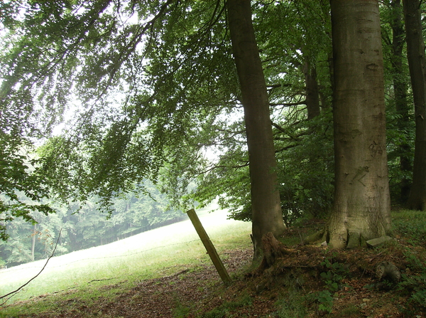 Kluisbergen Juni 2011 010