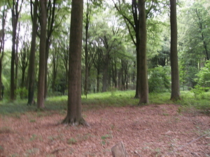 Kluisbergen Juni 2011 037