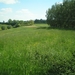 Over de groene heuvels