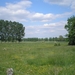 Netjes omheind , bloemekes in de weide