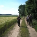 veel, hard  licht