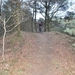 teunenberg008