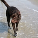 Kopie van IMG_3832