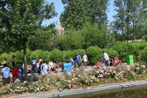 plopsaland 182