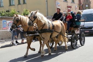 Wielersport-Hobbyrijders-2011