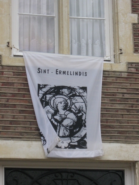 de huizen bevlagd