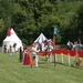 Ringsteken