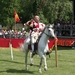 De winnaar