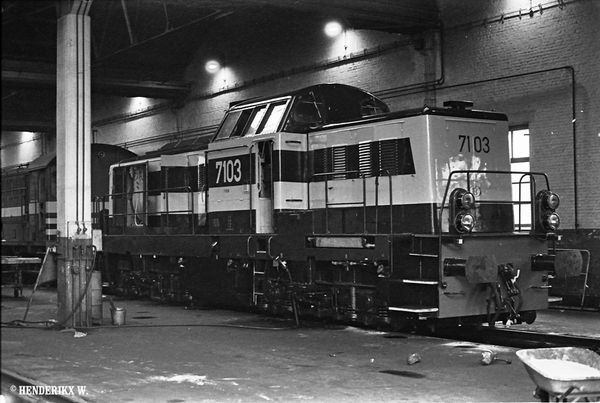 7103 TW FNDM 19801218