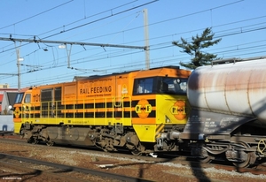 RF 1101 FCV 20121122