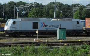 RHEINCARGO KIJFHOEK 20140824