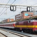 1251 of 91 84 1112051-5_NL-EETC 's HERTOGENBOSCH 20140801 (4)