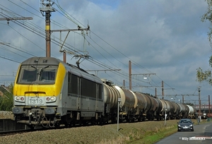 1319 SINT-KATELIJNE-WAVER 20141017