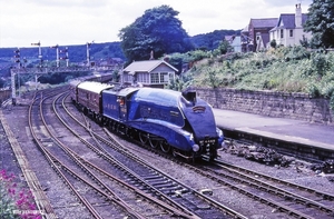 4468 'MALLARD' SCOBOROUGH  19880709 (3)