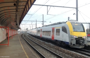 08172 'KUIFJE'-08161 FCV 20161207 16u09 als S1 1988 FN-Nijvel (3)