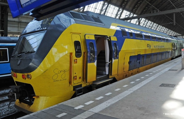 9556 'GROENETREIN' AMSTERDAM 20150822 (0)