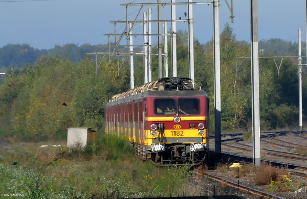 11 TYPES 11 op een rij MKM 20180924 (1)