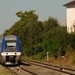 SNCF TER 548 _ 76548 & 515_76515 OBERNAI 20160823 (1)