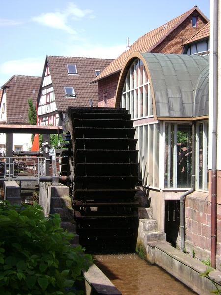 110601 05 D Rheinland Pfalz 098