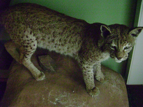 110601 05 D Rheinland Pfalz 106