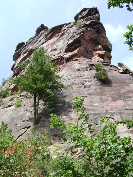 110601 05 D Rheinland Pfalz 116