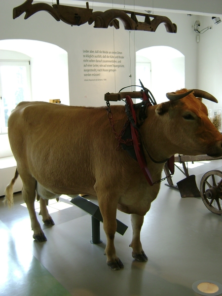 110601 05 D Rheinland Pfalz 168