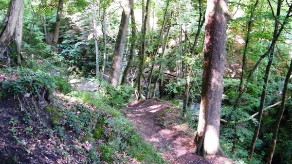 marche Adeps wandeling Waulsort Ardennen