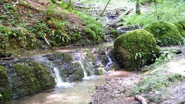 marche Adeps wandeling Waulsort Ardennen